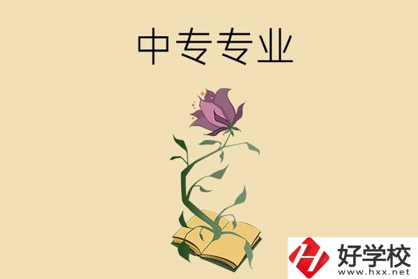 在張家界讀中專，學(xué)什么專業(yè)比較好？