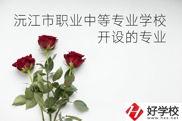 沅江市職業(yè)中等專業(yè)學(xué)校怎么樣？開設(shè)哪些專業(yè)？