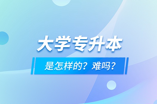大學專升本是怎樣的？難嗎？