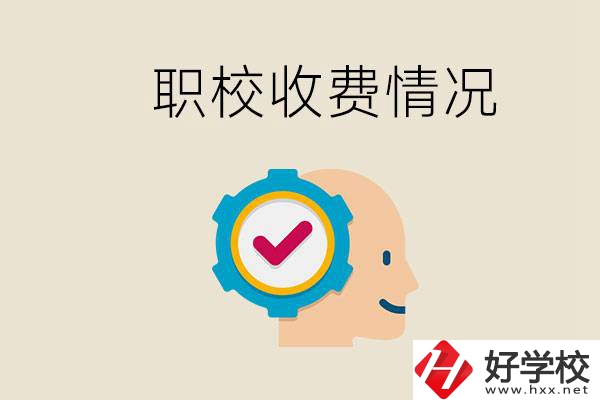 湖南的職校是怎么收費的？民辦學校一年學費要多少？