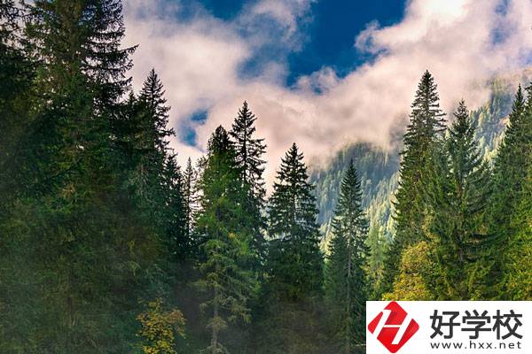 永州東方科技職業(yè)學(xué)校有哪些辦學(xué)特色？