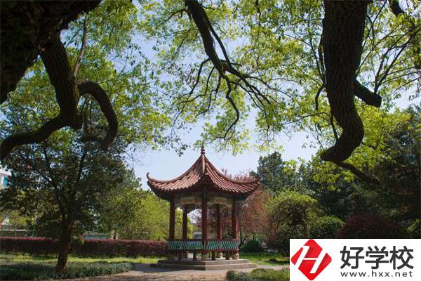 長沙市望城區(qū)職業(yè)中等專業(yè)學(xué)校的官網(wǎng)是什么？