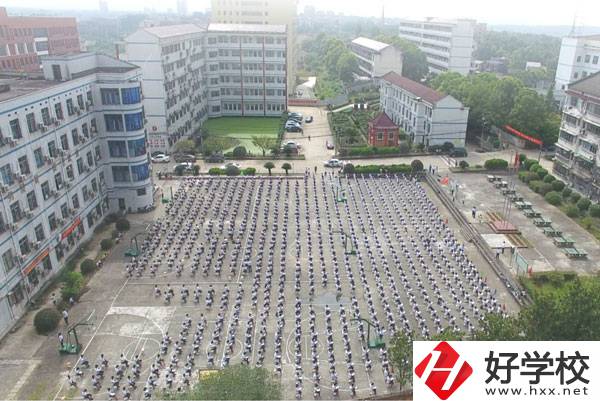 益陽市有哪些中職學(xué)?？梢詫W(xué)習(xí)到機器人的知識?