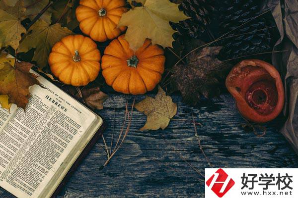 臨湘市職業(yè)中專開設(shè)哪些熱門專業(yè)？有哪些就業(yè)方向？