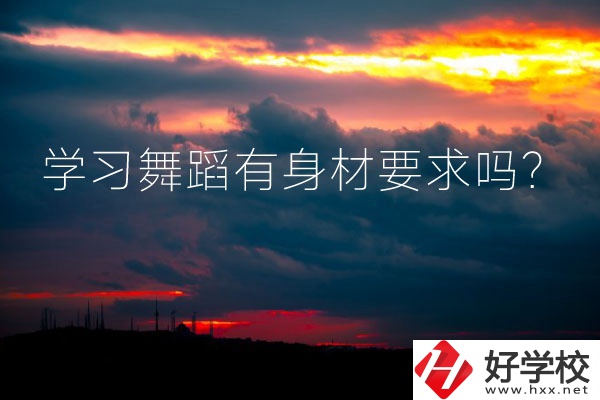 懷化有可以學(xué)習(xí)舞蹈的中專(zhuān)學(xué)校嗎？有身材要求嗎？