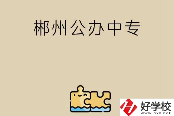 郴州公辦中專有哪些開(kāi)設(shè)了電子商務(wù)專業(yè)？