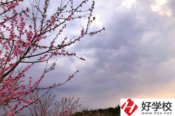 邵陽市瀟湘中等職業(yè)技術學校怎么樣？收費標準如何？