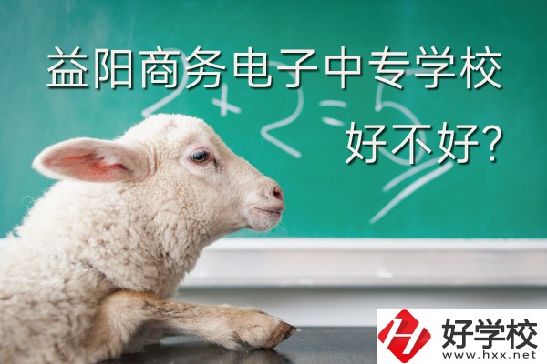 益陽(yáng)商務(wù)電子職業(yè)中等專業(yè)學(xué)校好不好？有什么榮譽(yù)？
