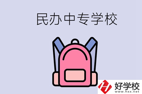 益陽的民辦中專學(xué)校有多少所？辦學(xué)怎么樣？