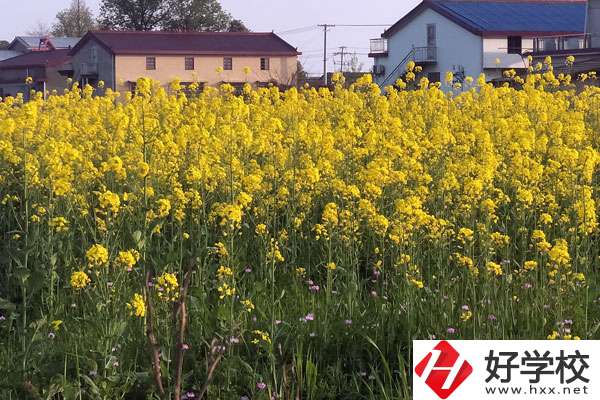 湖南省有哪些比較好的技校？熱門專業(yè)有哪些？