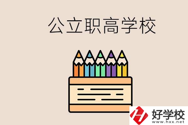 岳陽的公立職高學校有哪些？學費一般是多少？