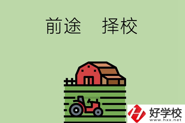 在長沙讀中職學校有前途嗎，如何擇校？