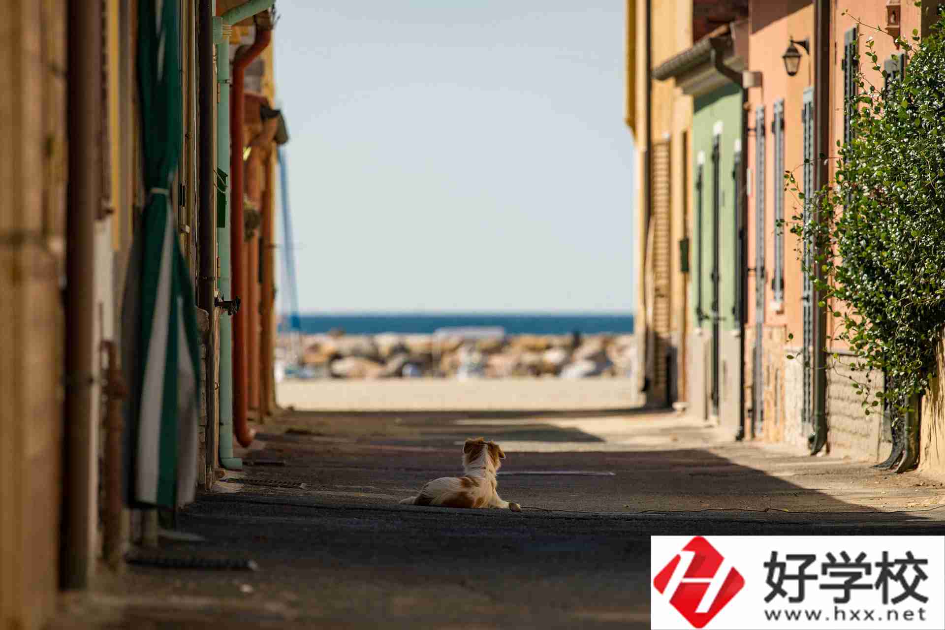 益陽市四通電腦中等專業(yè)學(xué)校什么專業(yè)強？