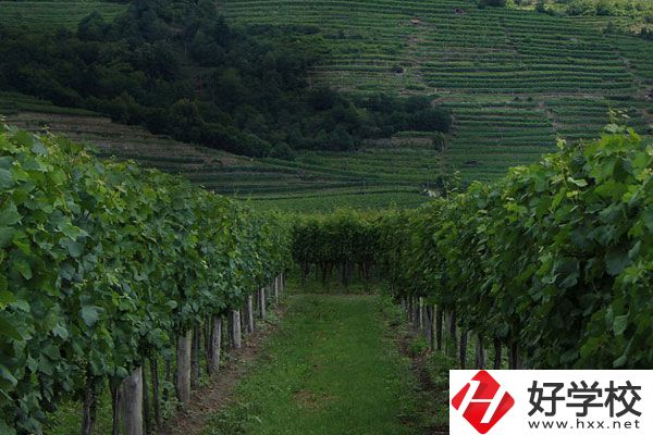 中鋼集團衡陽重機技工學校好不好？值得讀嗎？