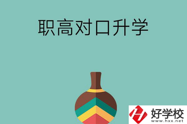 湖南職高對口升學可以考哪些大專？