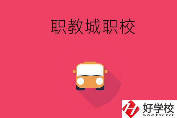 株洲職教城有什么職校？