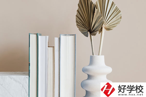 懷化職業(yè)技術學院(中職部)好不好，值得選擇嗎？