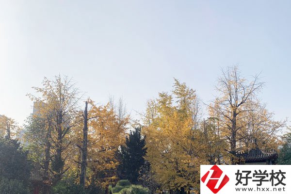 湘潭縣就業(yè)職業(yè)技術(shù)學(xué)校有哪些專業(yè)？就業(yè)前景怎么樣？