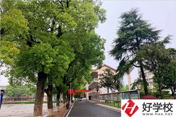 想在益陽學(xué)機械制造專業(yè)，哪個學(xué)校比較好？