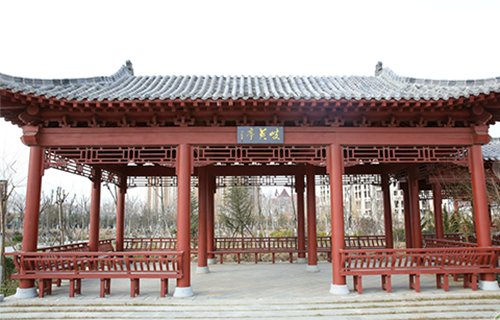 山東中醫(yī)藥高等?？茖W(xué)校