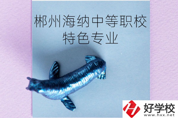 郴州海納中等職業(yè)技術學校有些什么特色專業(yè)？