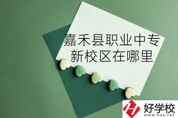 嘉禾縣職業(yè)中專怎么樣？新校區(qū)在哪里？