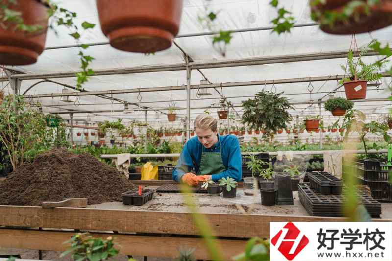 湖南省湘潭縣職校有什么專業(yè)可以選擇？