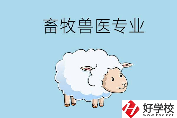 畜牧獸醫(yī)專業(yè)好就業(yè)嗎？湖南哪些技校開設(shè)了該專業(yè)？