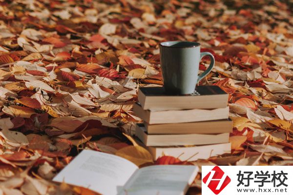 中方縣職業(yè)中等專業(yè)學校有什么專業(yè)？好不好？