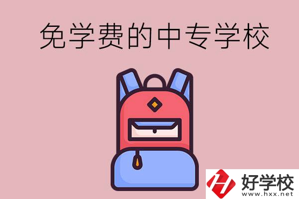 郴州市的中專哪些是免學(xué)費(fèi)的？