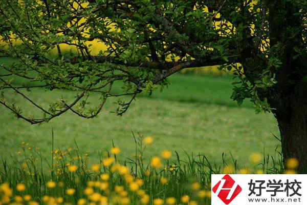 在邵陽(yáng)讀中職有前途嗎？如何選擇學(xué)校呢？