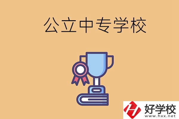 常德的公立中專學(xué)校有哪些？有什么特色？