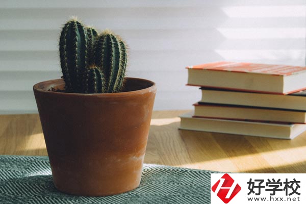 桃江縣職業(yè)中專學(xué)校辦學(xué)條件怎么樣？有哪些特色？