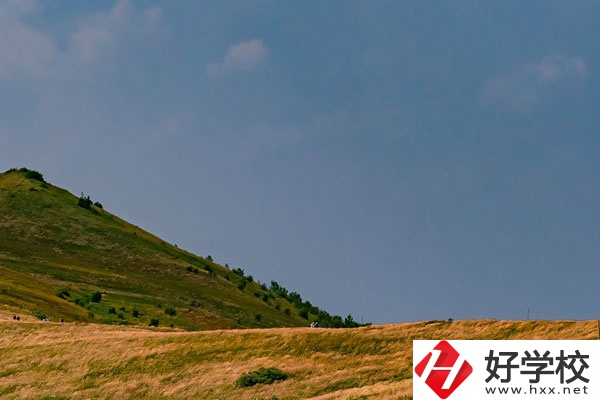 想在常德學動漫設計專業(yè)，有合適的學校嗎？