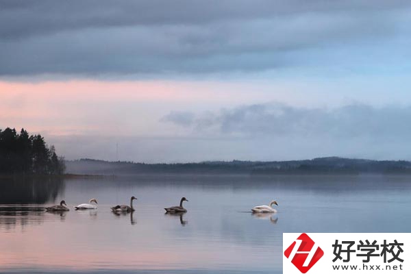 湖南有色金屬中專學校有哪些專業(yè)？就業(yè)方向如何？