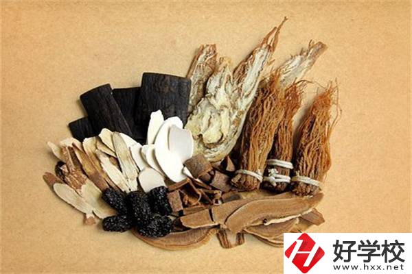 在湘西學(xué)中草藥栽培怎么樣？開設(shè)此專業(yè)的學(xué)校有哪些？