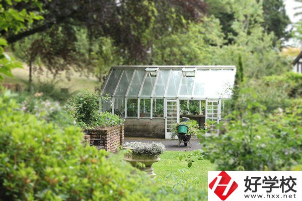 湖南省商業(yè)技師學院開設哪些專業(yè)？就業(yè)情況如何？
