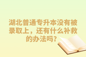 湖北普通專升本沒有被錄取上，還有什么補(bǔ)救的辦法嗎？