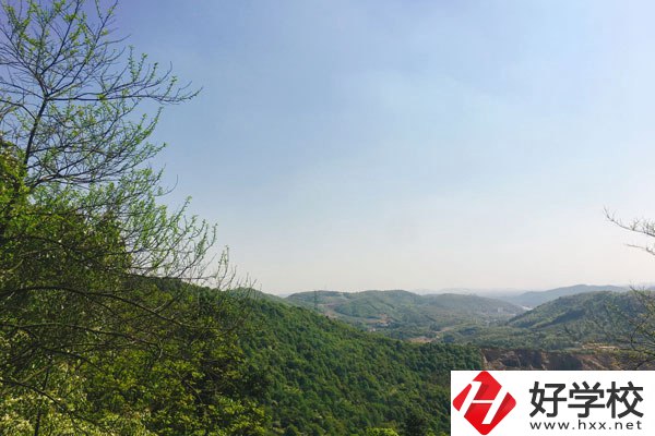 株洲人工智能職業(yè)技術(shù)學(xué)校哪個專業(yè)更好？