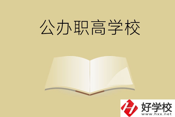 懷化公辦的職高學校有哪些？