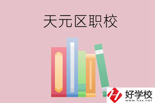 株洲市天元區(qū)的職校有哪幾所？