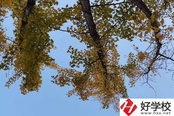 株洲有哪些比較好的中專(zhuān)學(xué)校？