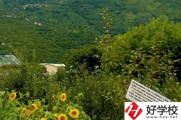 長(zhǎng)沙公辦中職學(xué)校好不好？都有哪些學(xué)校？