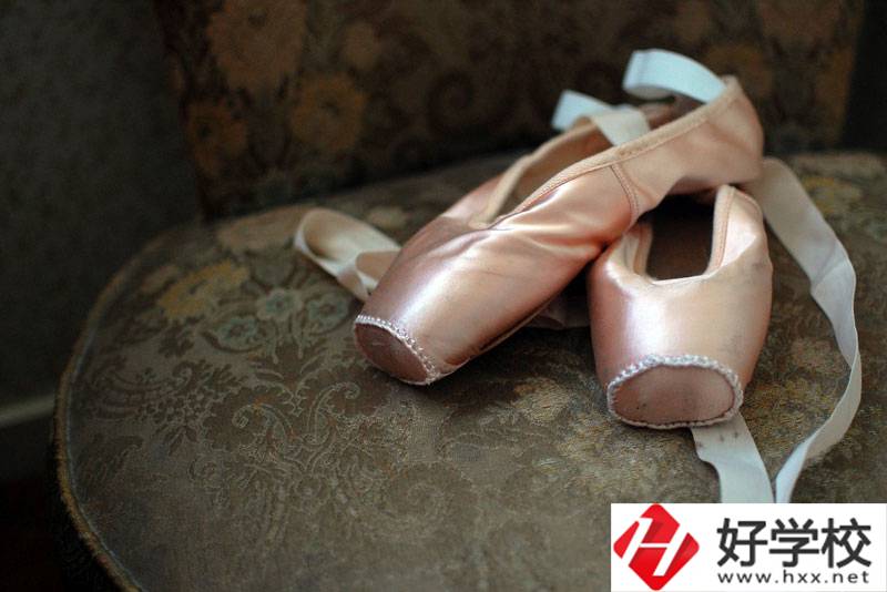 湖南省體育運(yùn)動(dòng)學(xué)校有舞蹈表演專(zhuān)業(yè)嗎？