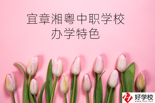宜章湘粵中職學(xué)校在哪？有什么辦學(xué)特色？