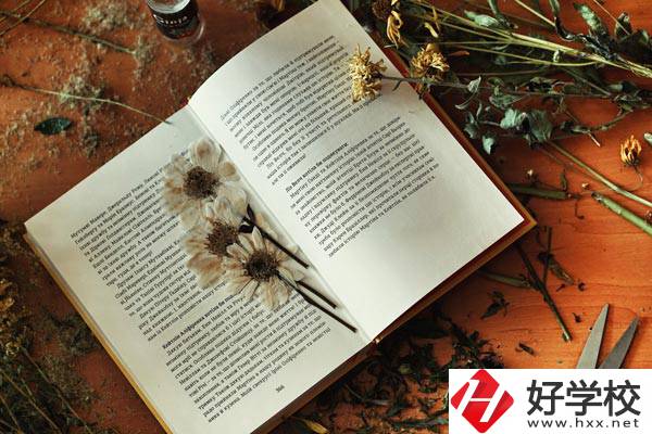 張家界市高級技工學校是公辦院校嗎？有哪些專業(yè)？