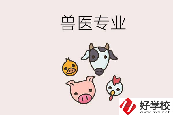 湖南哪些職校能學獸醫(yī)專業(yè)？學獸醫(yī)前景怎么樣？