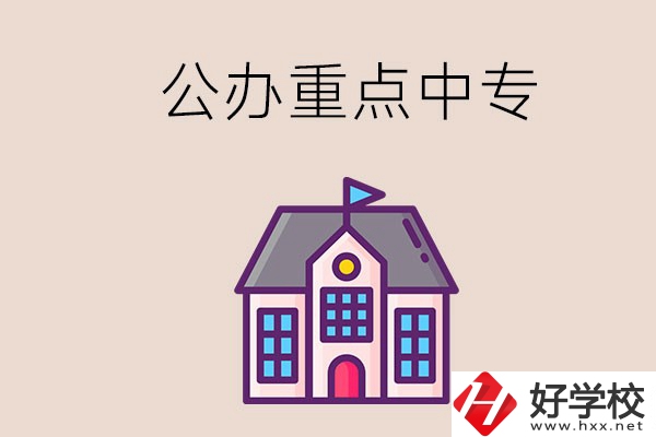 湖南重點(diǎn)中專學(xué)校里哪些是公辦的？
