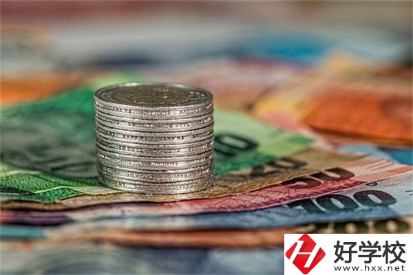 湖南職校會(huì)計(jì)電算化專業(yè)怎么樣？就業(yè)前景好不好？