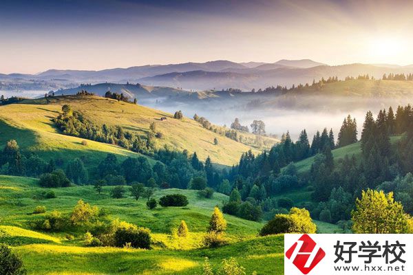 衡陽的中專學(xué)校有哪些新開設(shè)的專業(yè)？